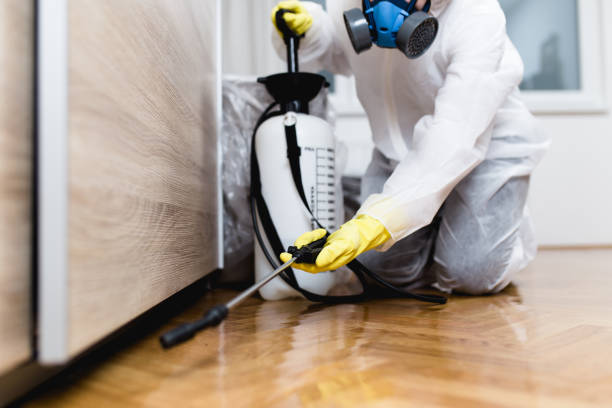 Best Pest Prevention Services  in Paradise Valley, AZ