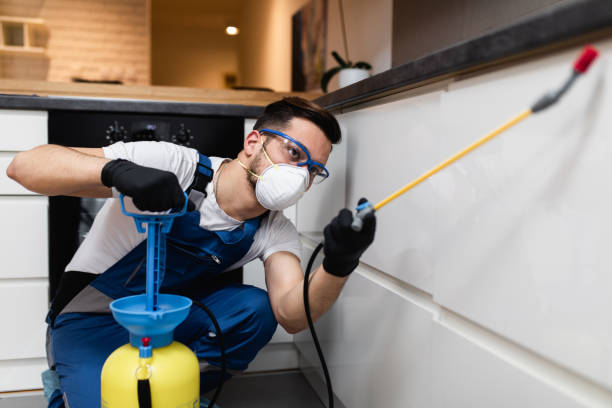 Best Pest Inspection Near Me  in Paradise Valley, AZ