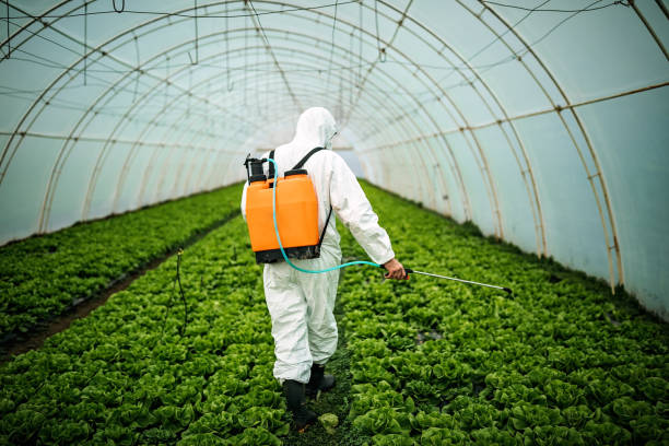 Best Pest Inspection Near Me  in Paradise Valley, AZ