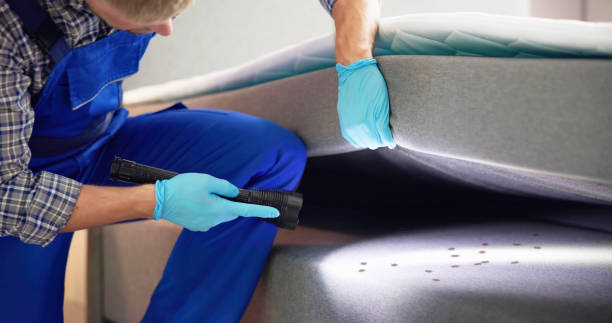 Best Pest Removal Services  in Paradise Valley, AZ