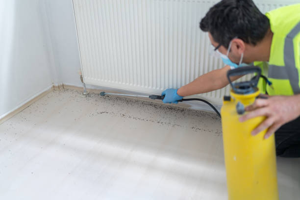  Paradise Valley, AZ Pest Control Pros