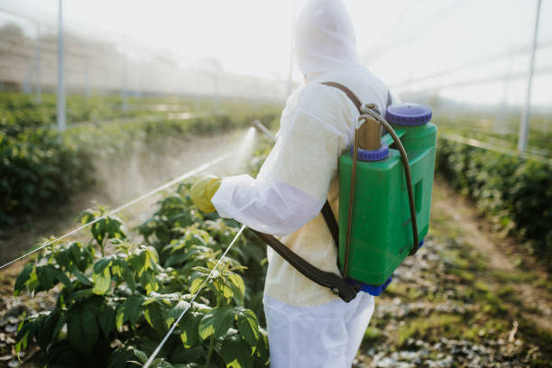 Best Insect Control  in Paradise Valley, AZ